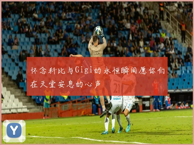 怀念科比与Gigi的永恒瞬间愿你们在天堂安息的心声